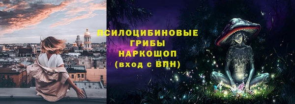 МДПВ Бородино